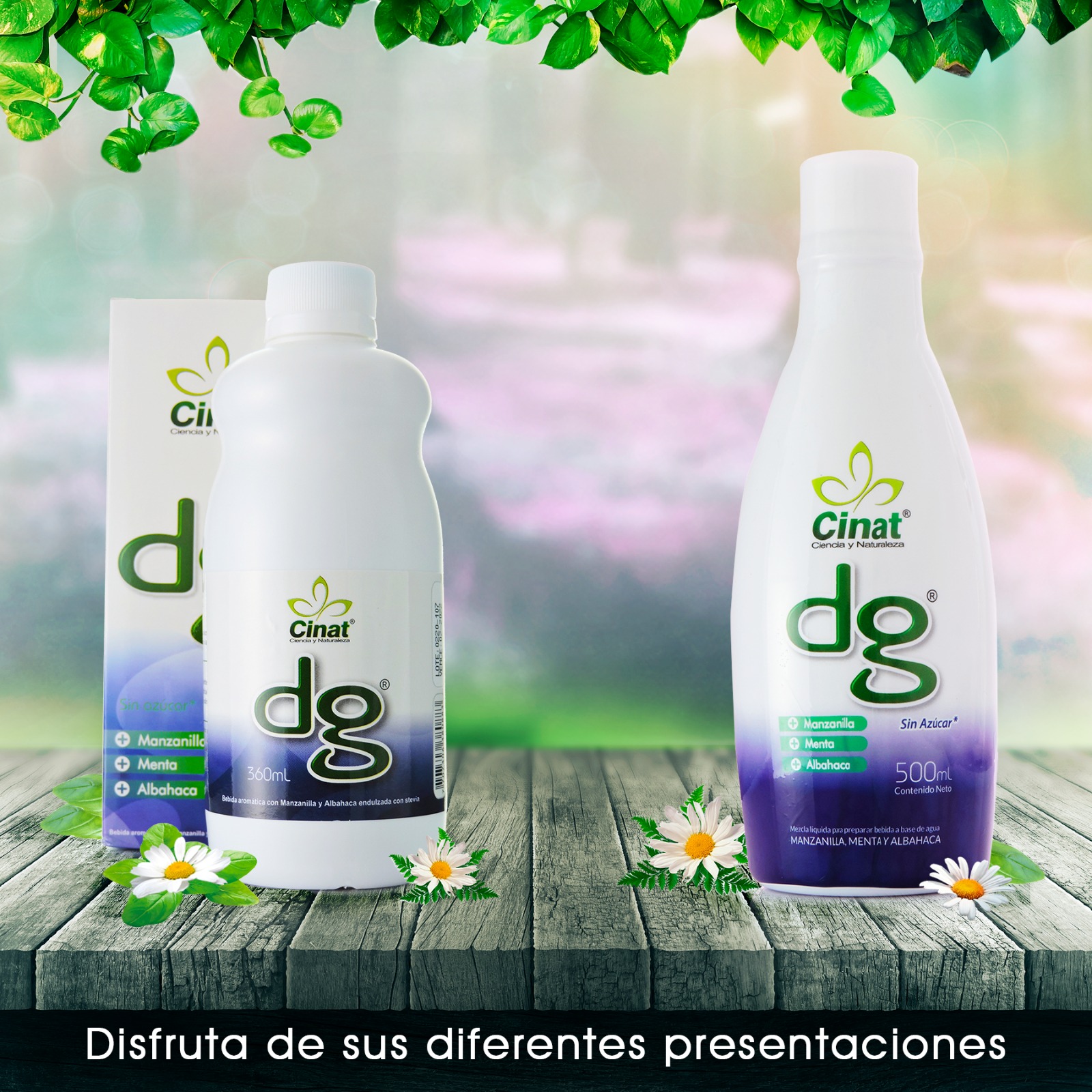 Dg 360mL