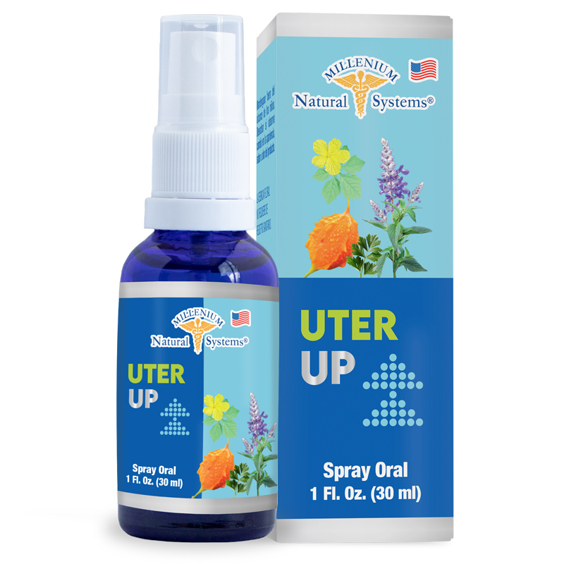 esencia floral digest up 30 ml Millenium Natural Systems